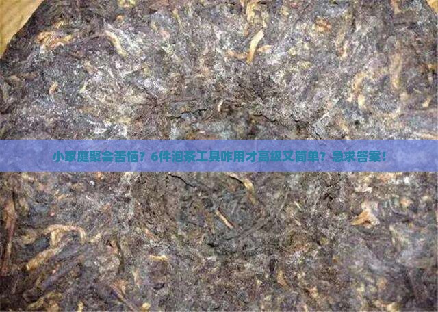 泡茶工具6件怎么用