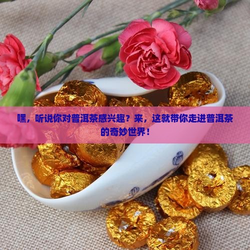 欢迎来到普洱茶专场