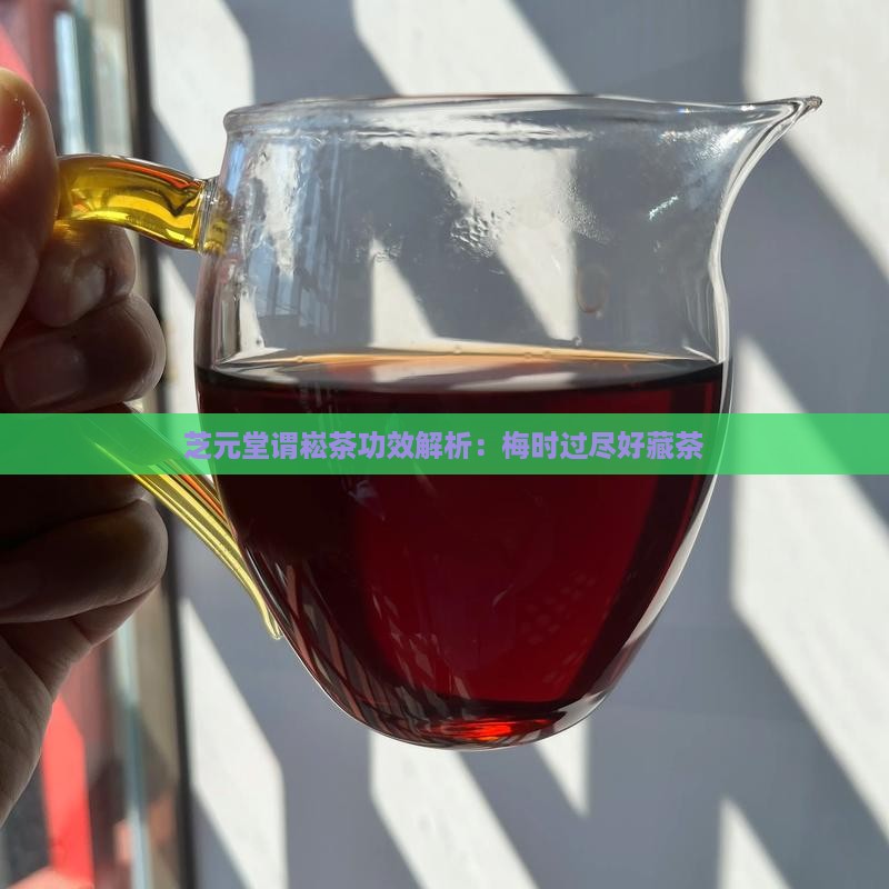 芝元堂谓崧茶功效梅时过尽好藏茶