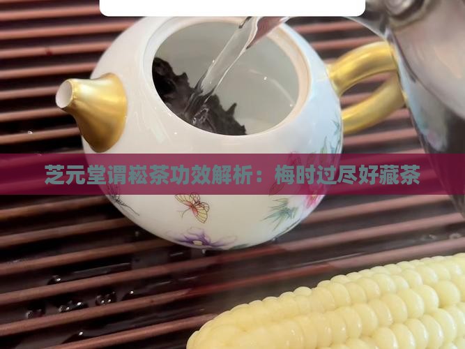 芝元堂谓崧茶功效梅时过尽好藏茶