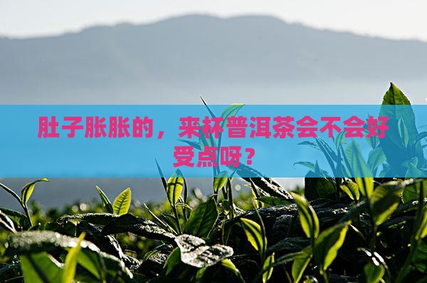 胃胀能喝些普洱茶吗
