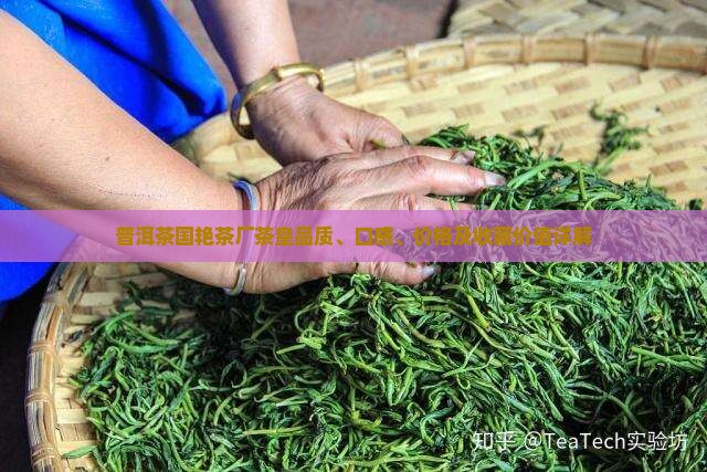 普洱茶国艳茶厂茶皇