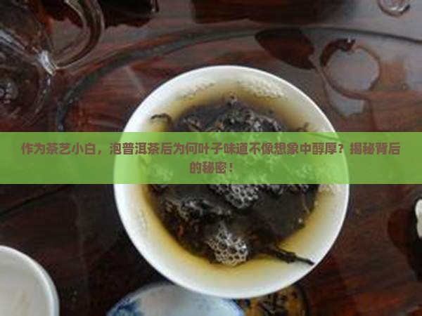 普洱茶泡后叶子什么味道
