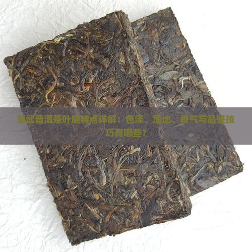 易武普洱茶的叶底特点
