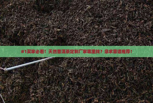 天然普洱茶哪里能定制