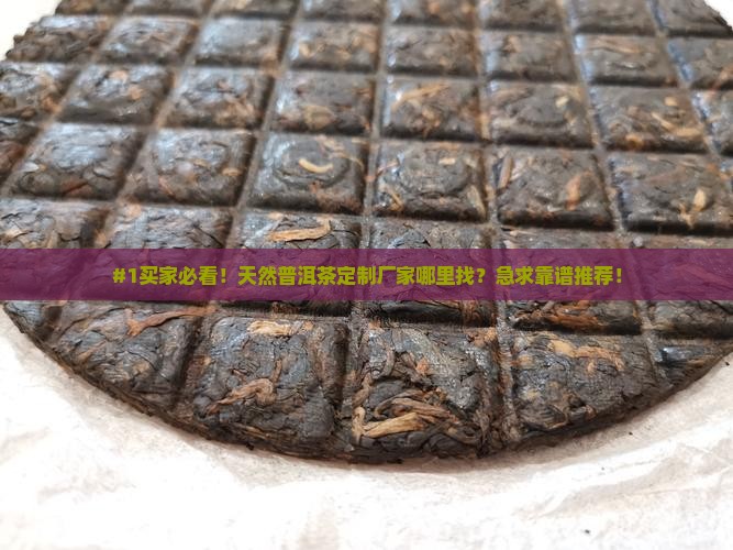 天然普洱茶哪里能定制