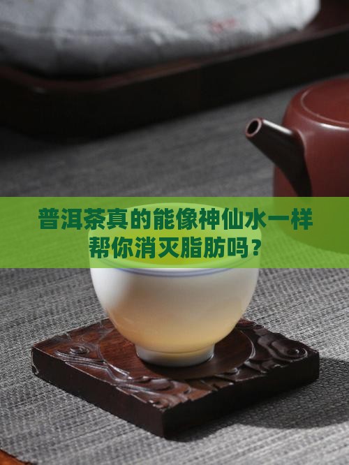 普洱茶有脂肪分解酶吗