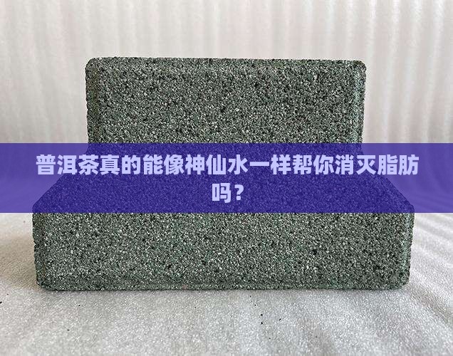 普洱茶有脂肪分解酶吗