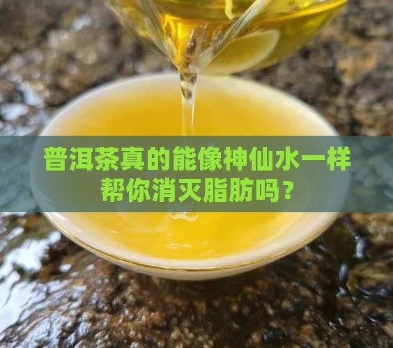 普洱茶有脂肪分解酶吗