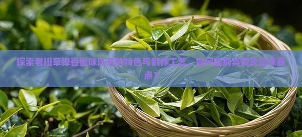 老班章樟香蜜味陈茶