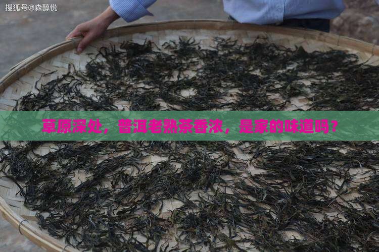 呼伦贝尔普洱茶熟茶