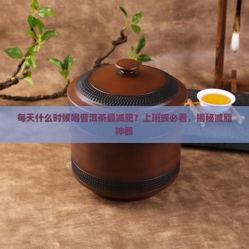 每天什么时候喝普洱茶最减肥