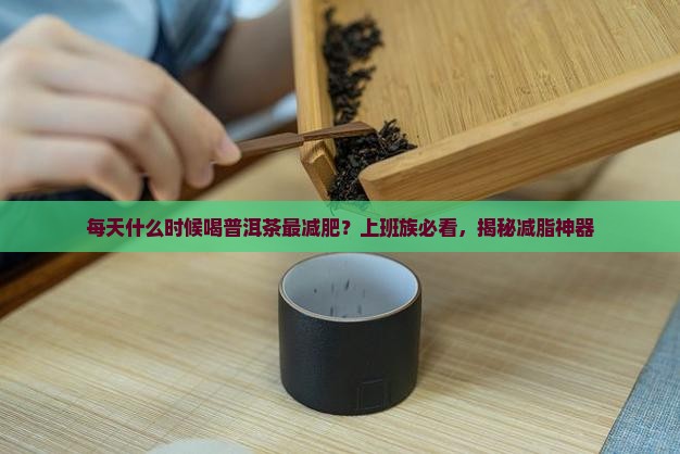 每天什么时候喝普洱茶最减肥