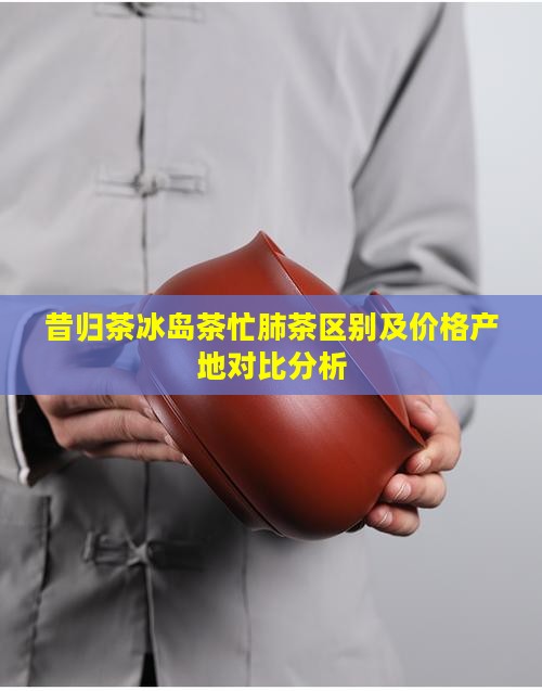 昔归茶冰岛茶忙肺茶区别