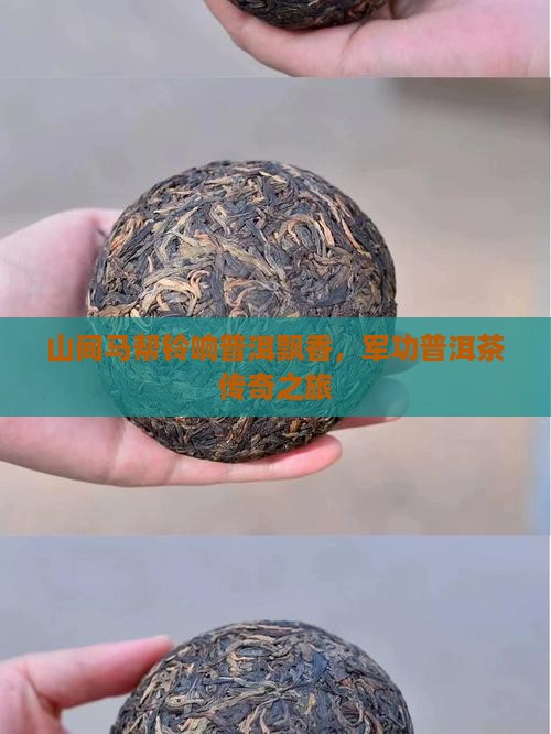 山间铃响马帮来军功普洱茶
