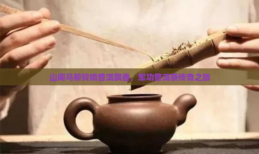 山间铃响马帮来军功普洱茶