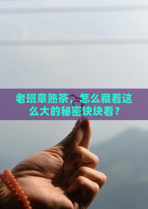 老班章熟茶怎么块大