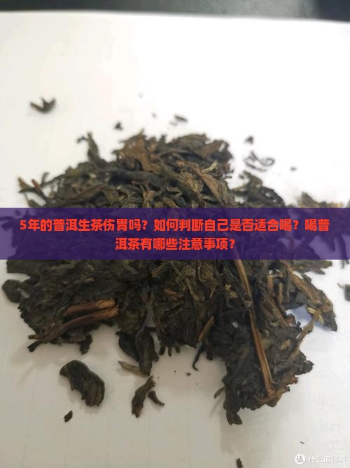 5年的普洱生茶伤胃吗