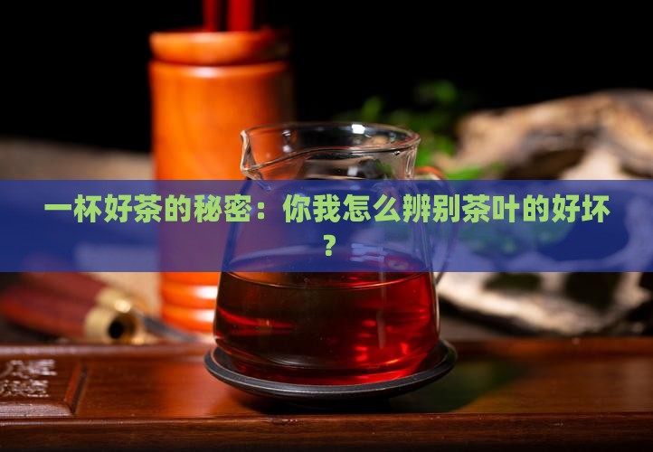 茶叶质量怎么看