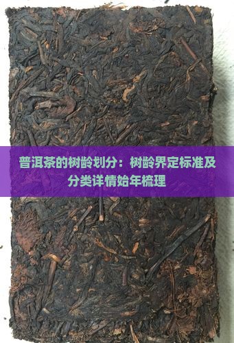 普洱茶的树龄划分
