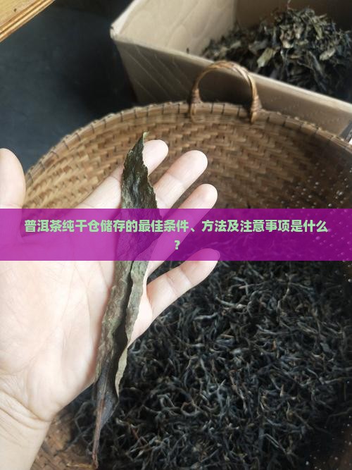普洱茶纯干仓储存条件要求