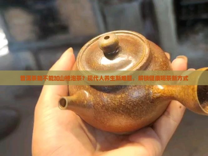普洱茶能不能加山楂泡茶