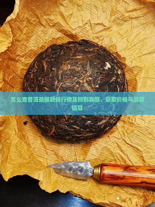 怎么查普洱茶爆款排行榜