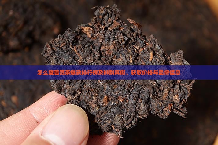 怎么查普洱茶爆款排行榜