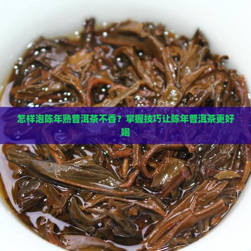 怎样泡陈年熟普洱茶不香