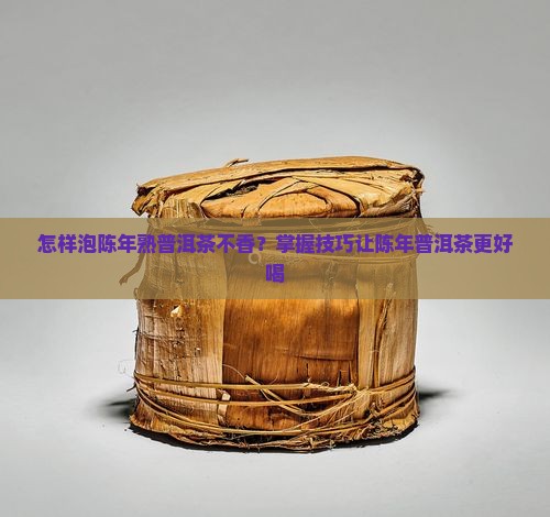 怎样泡陈年熟普洱茶不香