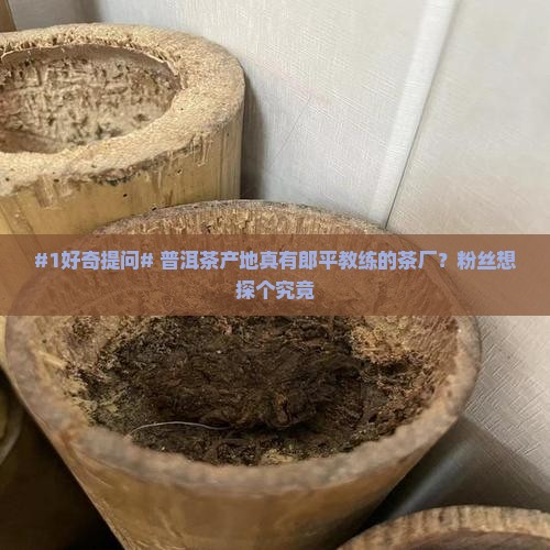 普洱茶产地有没有郎平