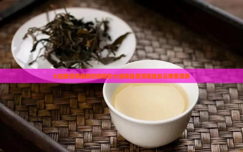 大益茶晶普洱茶价格