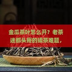 金瓜茶叶怎么开