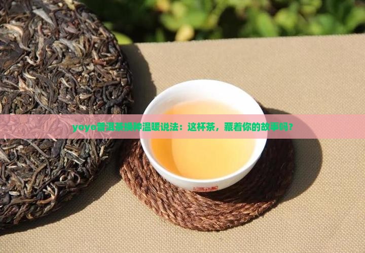 yoyo普洱茶