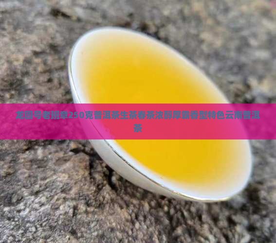 龙园号老班章250克