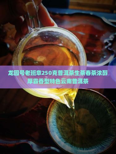 龙园号老班章250克