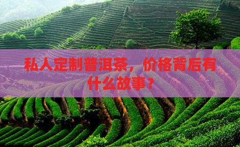 普洱茶私人定制价格表