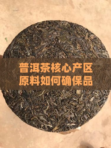普洱茶核心区域原料