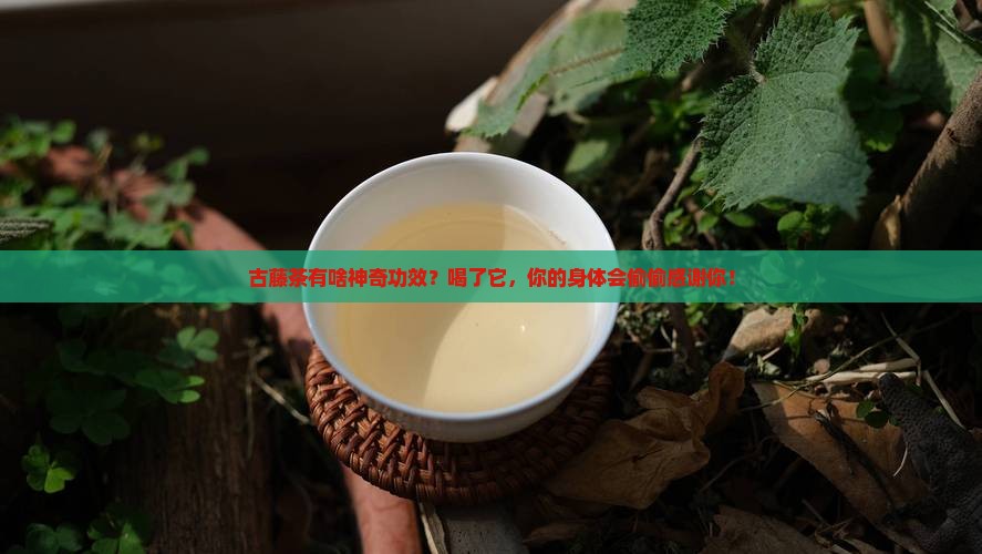 古藤茶的功效与作用