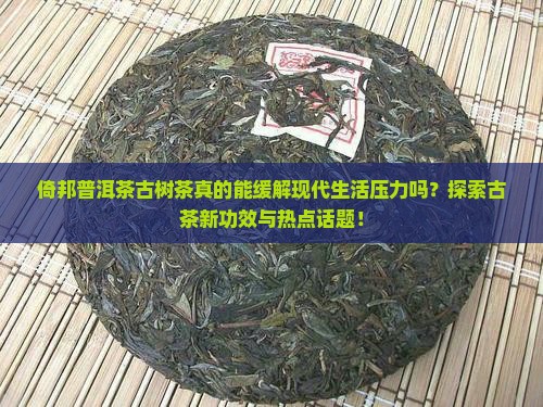 倚邦普洱茶古茶