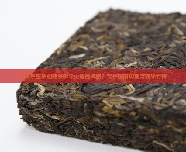 普洱茶生茶和熟茶谁减肥