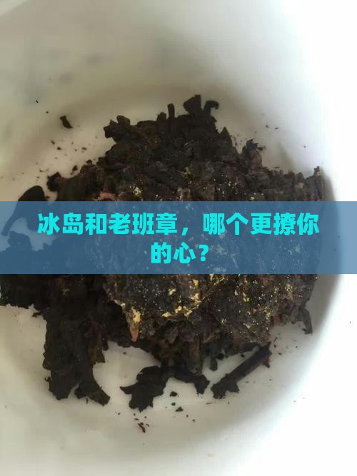 冰岛和老班章哪个好