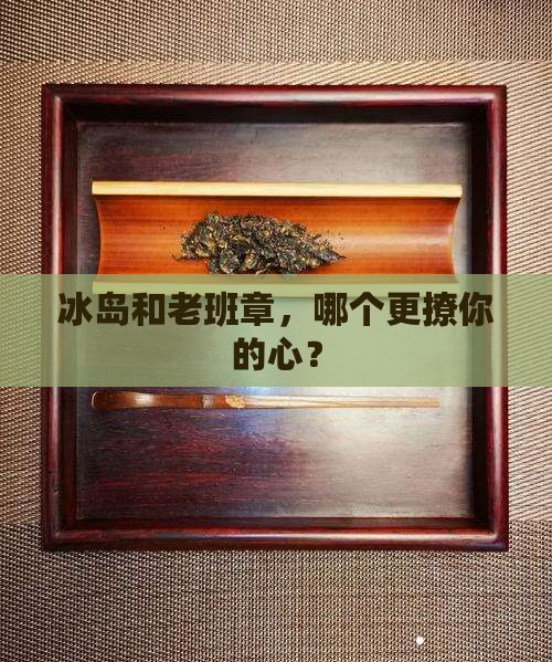 冰岛和老班章哪个好