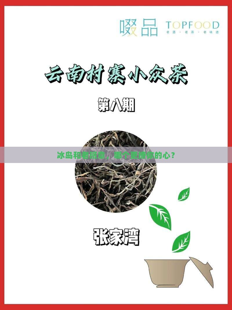 冰岛和老班章哪个好