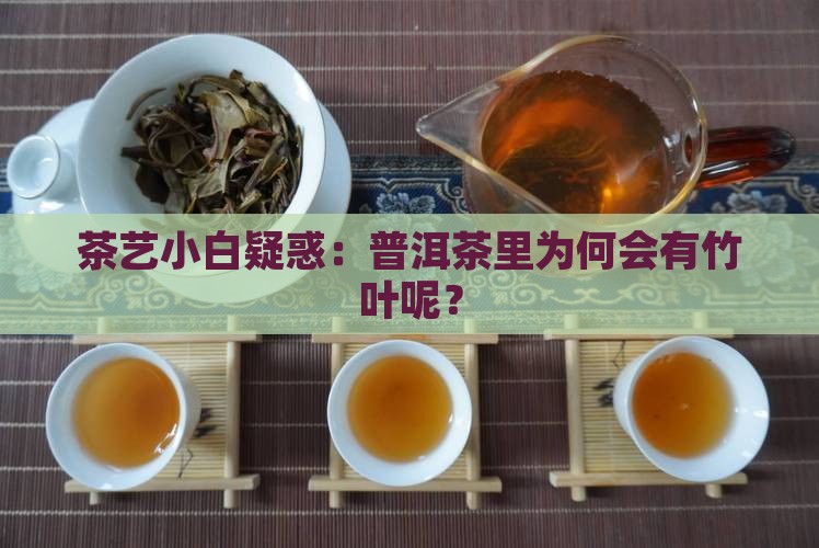 普洱茶中的竹叶是什么