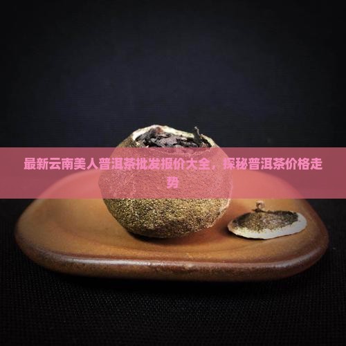 美女蛇普洱茶价格