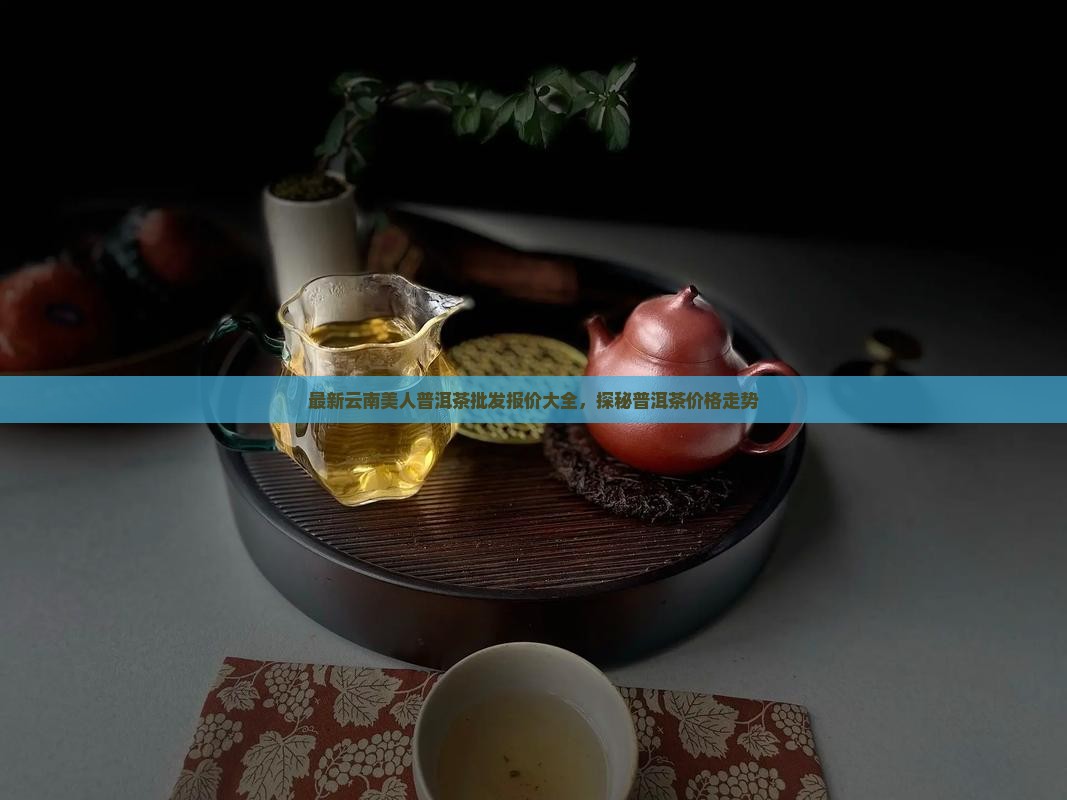 美女蛇普洱茶价格