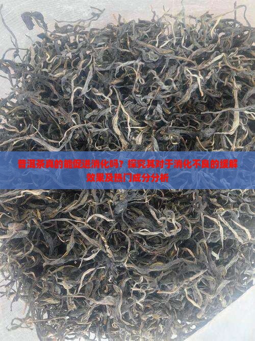 普洱茶有助消化吗