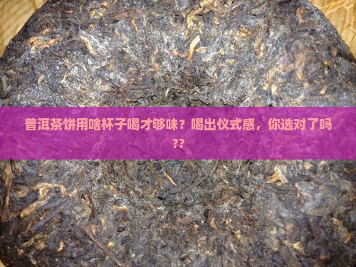 普洱茶饼用什么杯子喝好