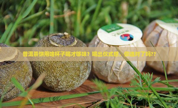 普洱茶饼用什么杯子喝好